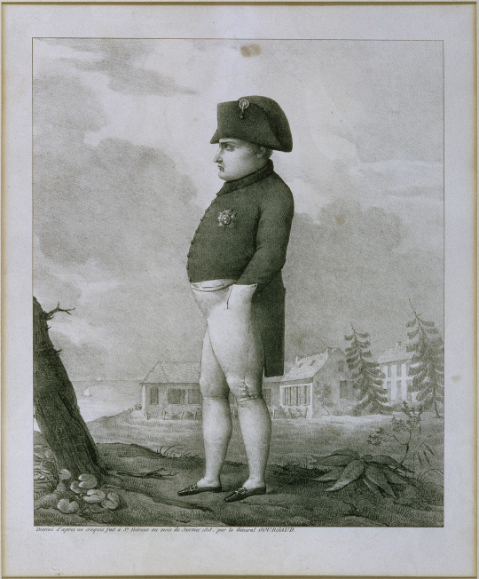 Napoléon à Sainte-Hélène